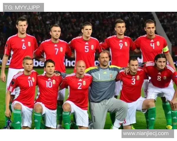 匈牙利足球传奇人物揭秘：最具影响力的足球明星与他们的辉煌历史